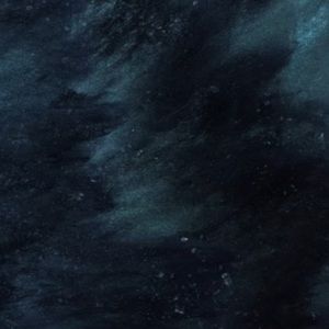 Meet your Posher, Trevor